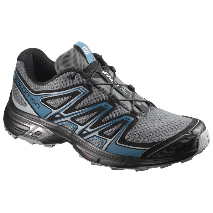 Chaussures De Trail Running Salomon Homme Argent / Noir - Salomon WINGS FLYTE 2 - France (8401-IUHJA